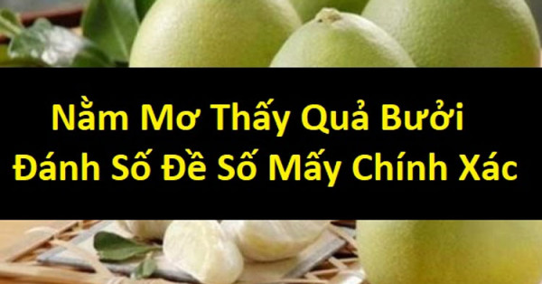 Mơ thấy quả bưởi đánh con gì? Điềm báo tốt hay xấu?