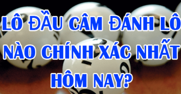 Đầu câm đánh con gì trúng lớn? Bí kíp đánh đầu câm từ cao thủ